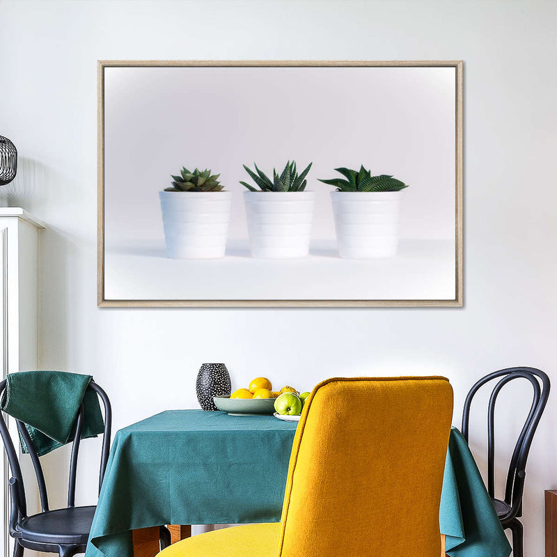 Three Succulents Wall Art