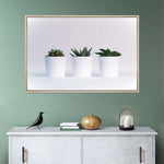 Three Succulents Wall Art