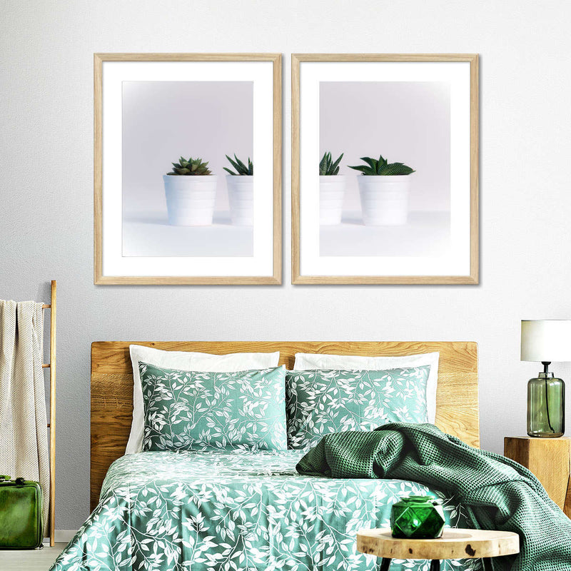 Three Succulents Wall Art