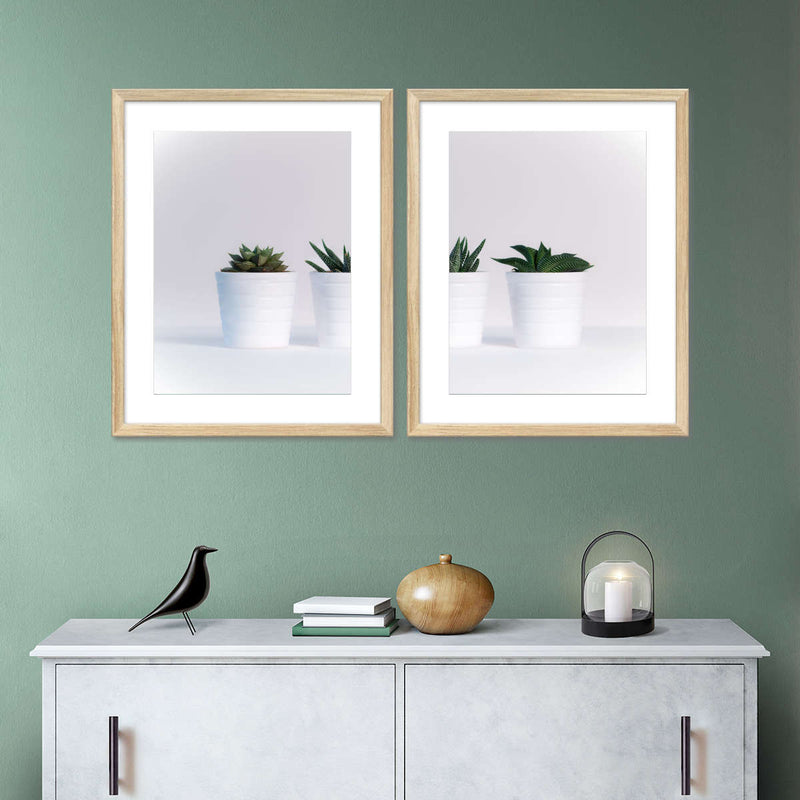 Three Succulents Wall Art