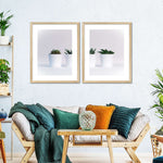 Three Succulents Wall Art