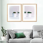 Three Succulents Wall Art