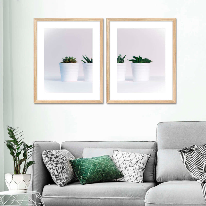 Three Succulents Wall Art
