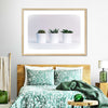 Three Succulents Wall Art