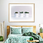 Three Succulents Wall Art