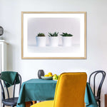 Three Succulents Wall Art