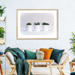 Three Succulents Wall Art