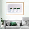 Three Succulents Wall Art