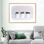 Three Succulents Wall Art