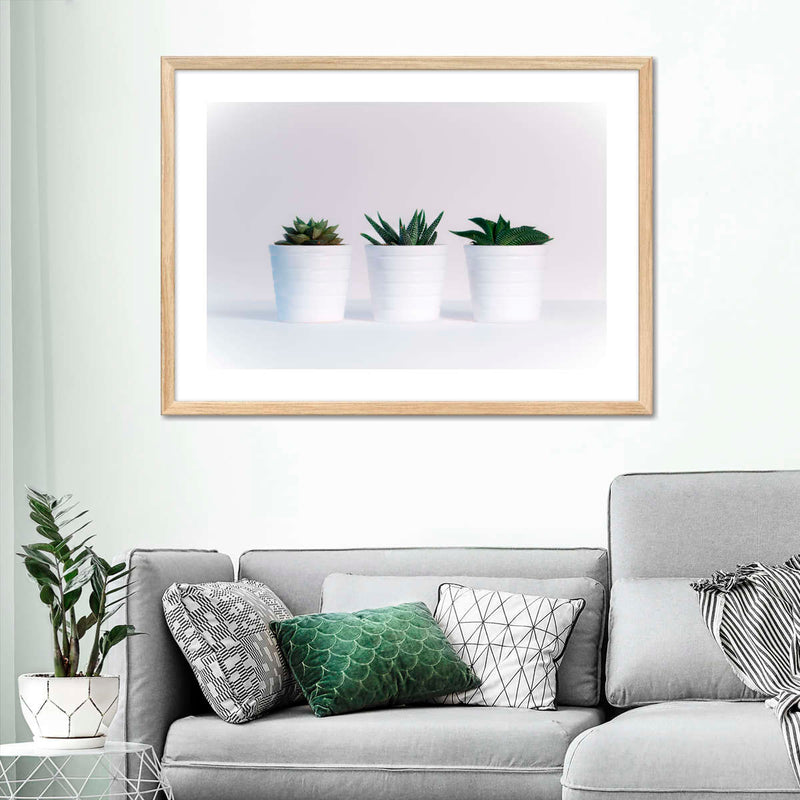 Three Succulents Wall Art