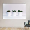 Three Succulents Wall Art