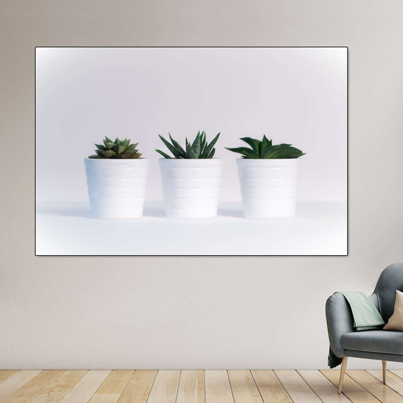 Three Succulents Wall Art