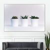 Three Succulents Wall Art