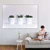 Three Succulents Wall Art