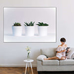 Three Succulents Wall Art
