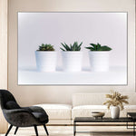 Three Succulents Wall Art