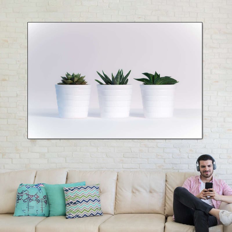 Three Succulents Wall Art