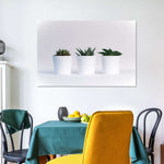 Three Succulents Wall Art