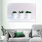 Three Succulents Wall Art
