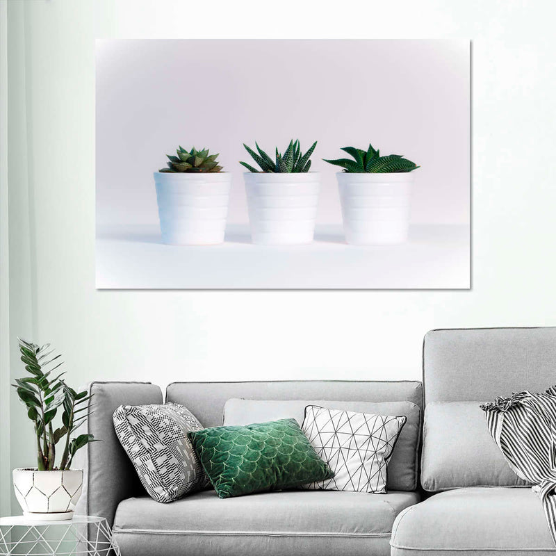 Three Succulents Wall Art