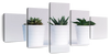 Three Succulents Wall Art