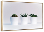 Three Succulents Wall Art