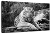 Textured White Tiger Wall Art