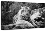 Textured White Tiger Wall Art