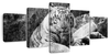 Textured White Tiger Wall Art