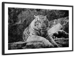 Textured White Tiger Wall Art