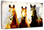 Three Horse Heads Wall Art