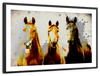 Three Horse Heads Wall Art