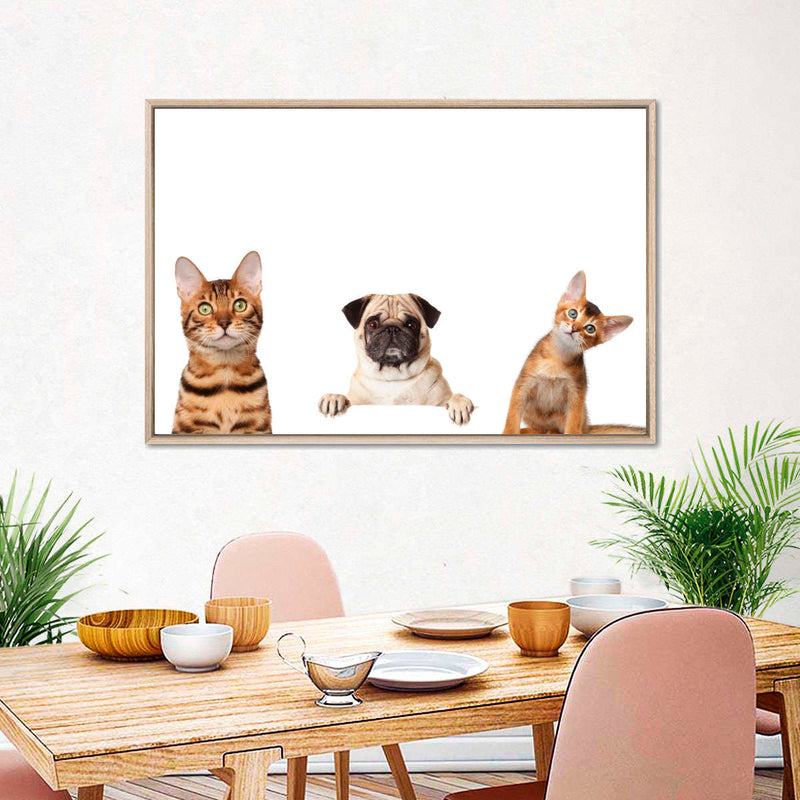 Pug And Cats Wall Art
