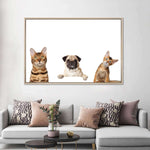 Pug And Cats Wall Art