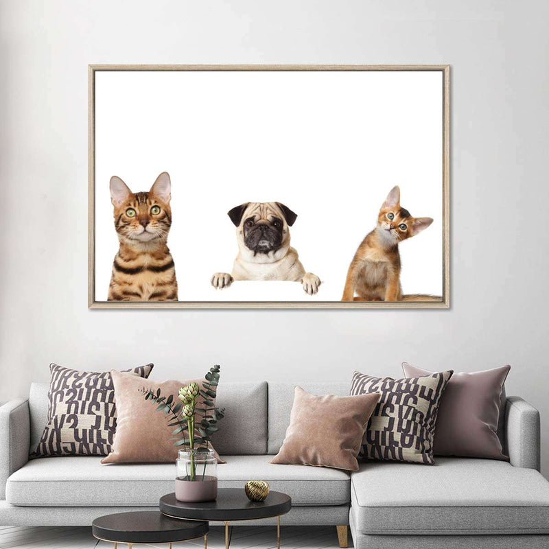 Pug And Cats Wall Art