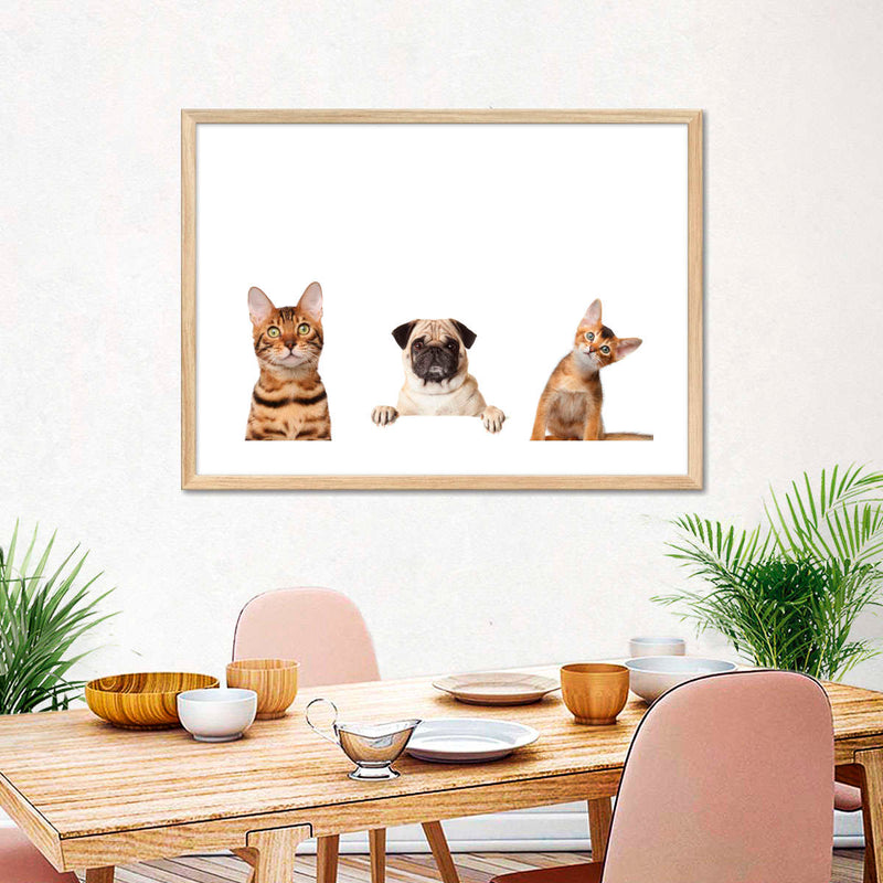 Pug And Cats Wall Art
