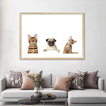 Pug And Cats Wall Art