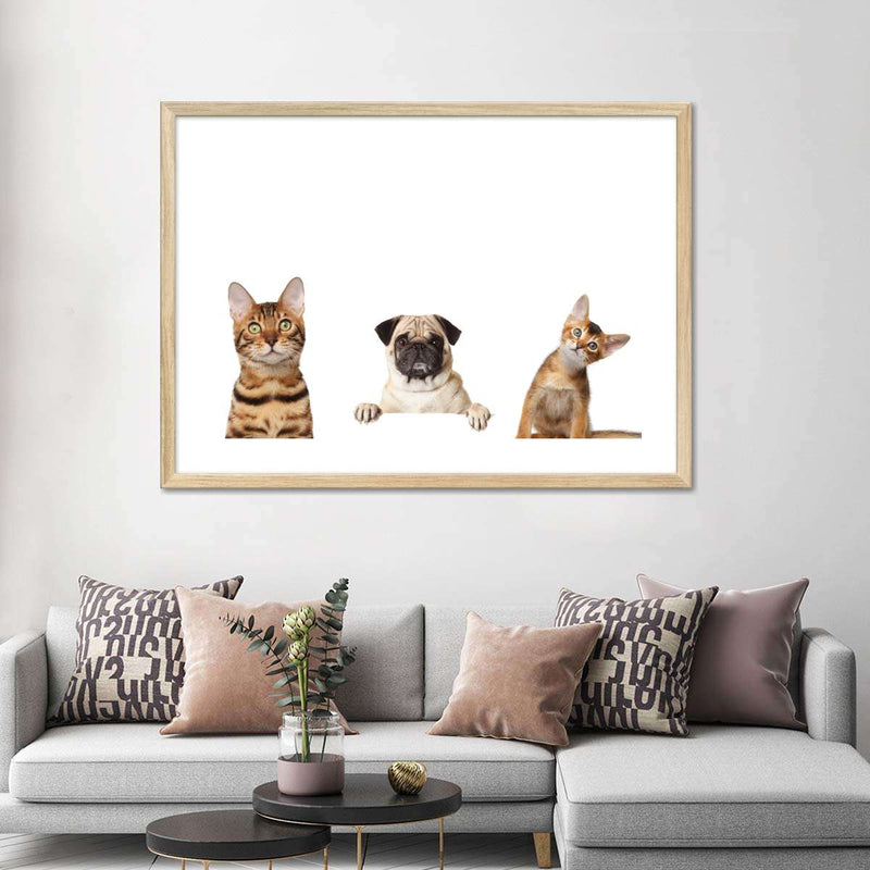 Pug And Cats Wall Art
