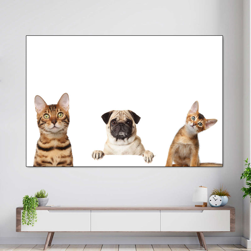 Pug And Cats Wall Art