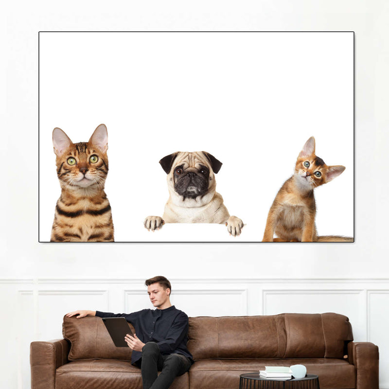 Pug And Cats Wall Art