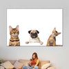 Pug And Cats Wall Art