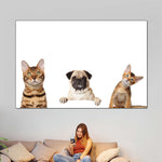 Pug And Cats Wall Art