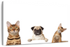 Pug And Cats Wall Art