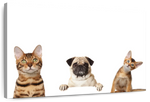 Pug And Cats Wall Art