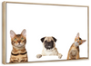 Pug And Cats Wall Art