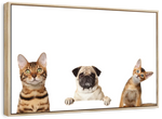 Pug And Cats Wall Art