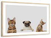 Pug And Cats Wall Art