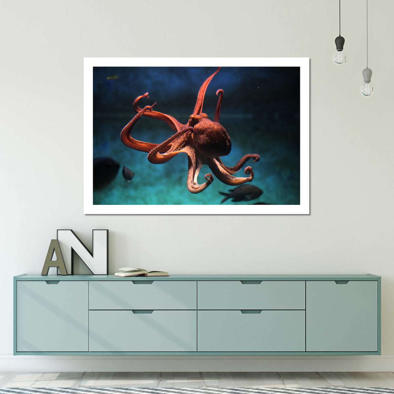 Octopus Vulgaris Wall Art
