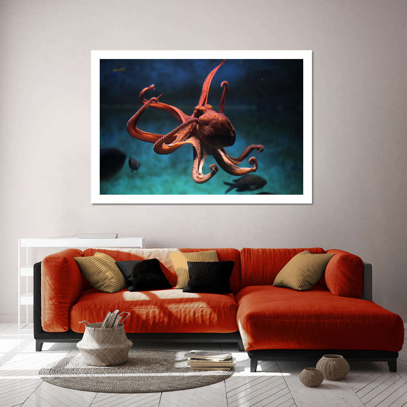 Octopus Vulgaris Wall Art