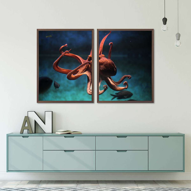 Octopus Vulgaris Wall Art